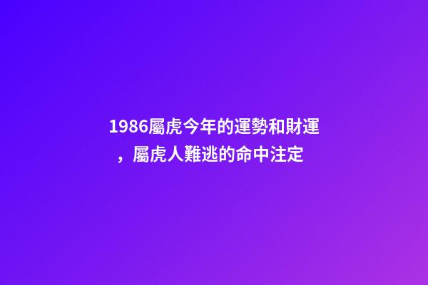 1986屬虎今年的運勢和財運，屬虎人難逃的命中注定-第1張-觀點-玄機派